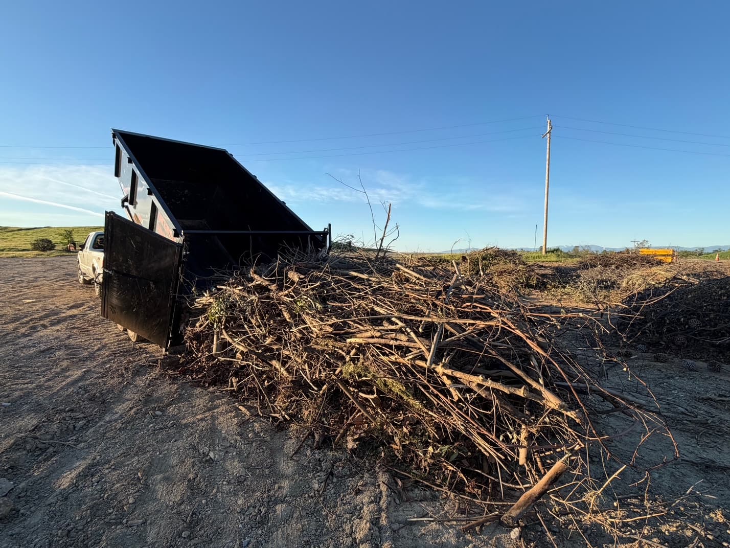 Storm Cleanup